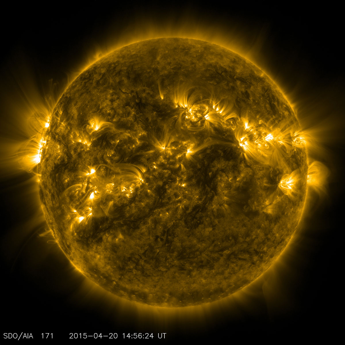 Our Sun. Credit: NASA/SDO